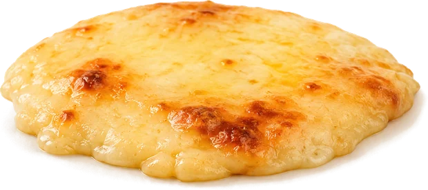 Provoleta y fontina